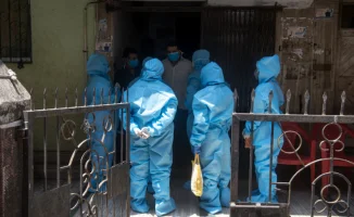 В Индии зафиксирована вспышка неизлечимого вируса Нипах: власти принимают меры в Западной Бенгалии