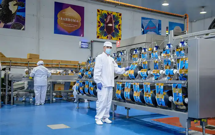 Впервые экспорт превысил импорт: исторический рубеж для казахстанской отрасли мороженого (6)