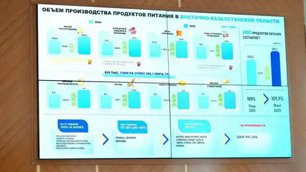 На заседании акимата ВКО рассмотрены актуальные вопросы развития региона (4)