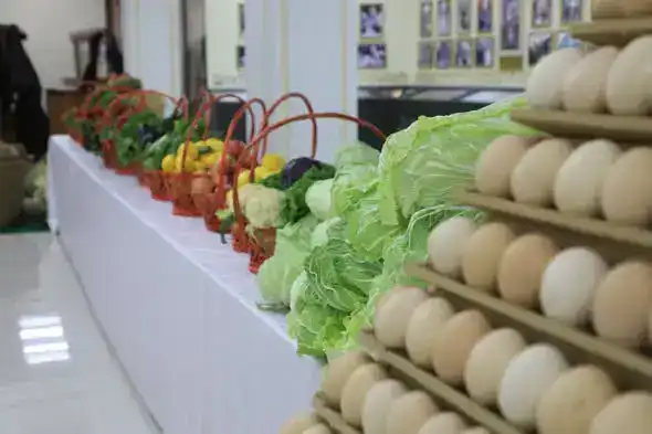 В САРЫАГАШСКОМ РАЙОНЕ ОБЪЕМ ВАЛОВОГО РЕГИОНАЛЬНОГО ПРОДУКТА ПРЕВЫСИЛ 380 МЛРД ТЕНГЕ (5)