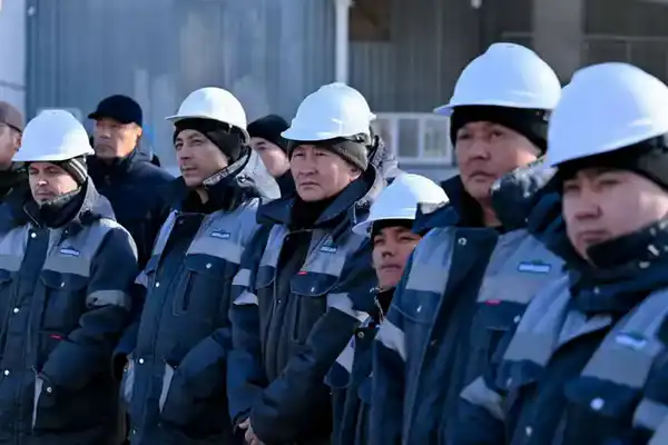 В области Абай открыт завод по переработке бобовых и масличных культур (2)