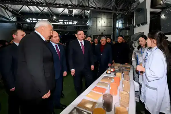 В области Абай открыт завод по переработке бобовых и масличных культур (8)