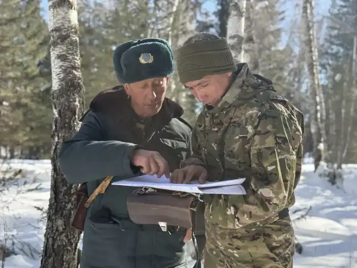 Забота о дикой природе зимой (2)