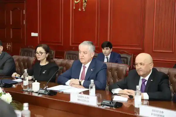 Казахстан и Таджикистан подтвердили приверженность дальнейшему укреплению политического диалога (3)