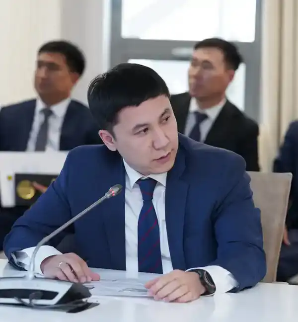 В ТУРКЕСТАНСКОЙ ОБЛАСТИ РЕАЛИЗУЮТСЯ НОВЫЕ ПРОЕКТЫ В ЦЕЛЯХ ДИВЕРСИФИКАЦИИ ЭКОНОМИКИ (4)