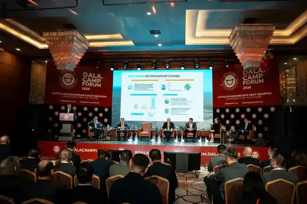 Стартовал международный форум Dala.Camp Forum 2026 (2)