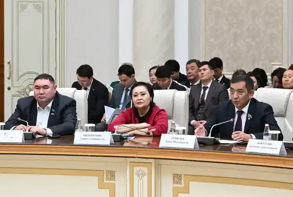 Бейбит Исабаев провел встречу по обсуждению проекта новой Конституции (2)