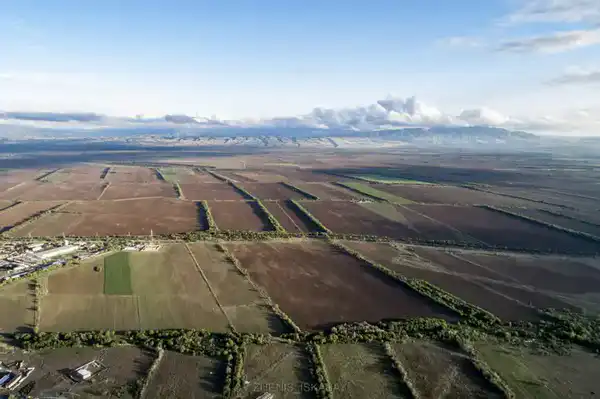 Бейбит Исабаев обозначил шесть приоритетов развития области Жетісу (7)