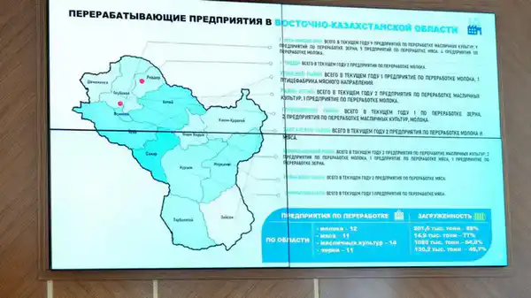 На заседании акимата ВКО рассмотрены актуальные вопросы развития региона (3)