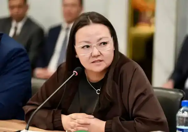 Энергетика без популизма: Ерлан Аккенженов обсудил с аналитиками реальные вызовы отрасли (4)