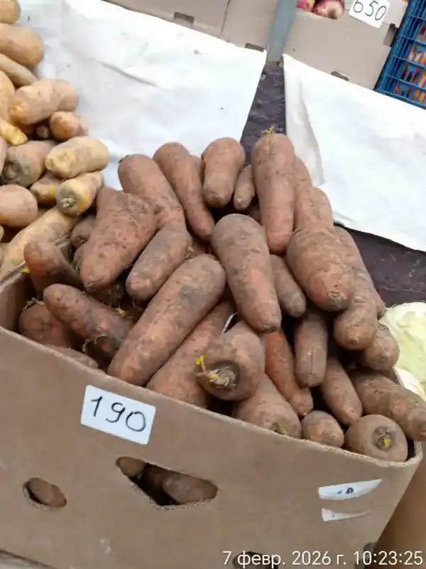 На ярмарке в Актау из стабилизационного фонда было реализовано 2 тонны картофеля (3)