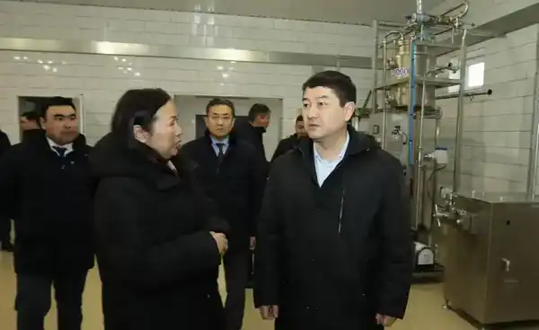 Нурдаулет Килыбай ознакомился со строительством социальных и производственных объектов в Мунайлинском районе (8)