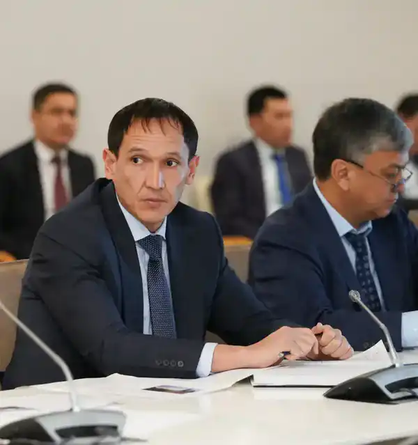 В ТУРКЕСТАНСКОЙ ОБЛАСТИ РЕАЛИЗУЮТСЯ НОВЫЕ ПРОЕКТЫ В ЦЕЛЯХ ДИВЕРСИФИКАЦИИ ЭКОНОМИКИ (6)