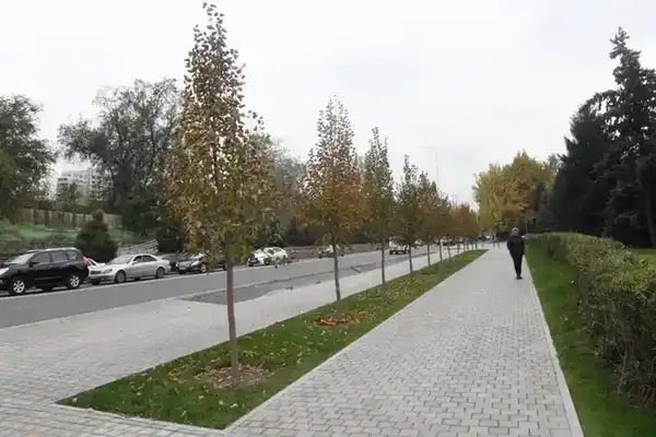 До 2030 года обеспеченность зелеными насаждениями в Алматы увеличат до 15 кв. м на человека (2)