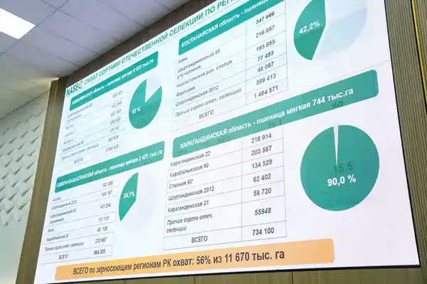 В Астане обсудили развитие отечественного семеноводства (7)