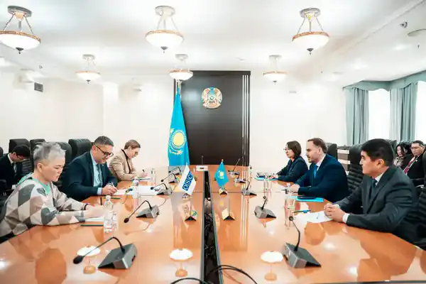 Подготовку к референдуму по новой Конституции обсудили с представителями БДИПЧ ОБСЕ (3)