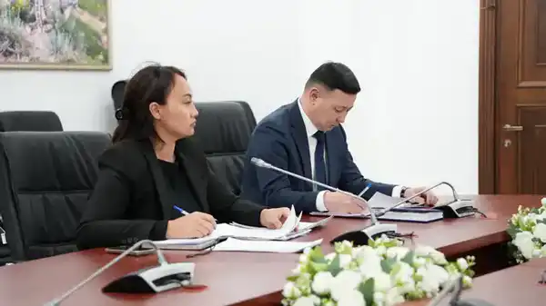 Министерство экологии и природных ресурсов РК обсудило меры по улучшению качества атмосферного воздуха с акиматами и территориальными департаментами (2)