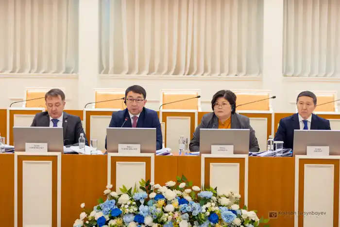 Международное сообщество оценило открытость и прозрачность конституционной реформы (8)