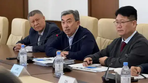 Инвестиционный импульс для Улытау: переговоры с компанией «Microbus (2)