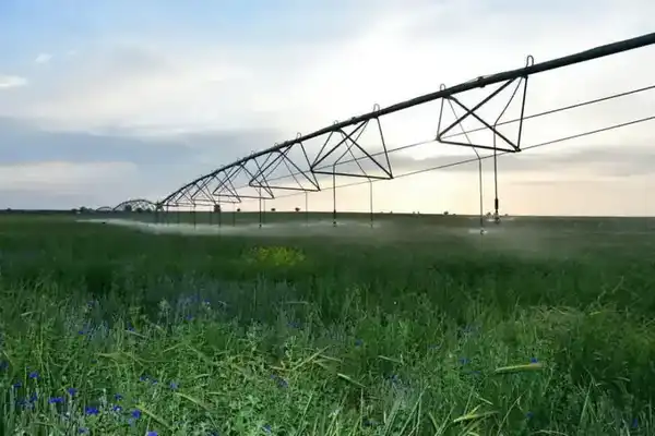 ТУРКЕСТАНСКАЯ ОБЛАСТЬ ЛИДИРУЕТ В РЕСПУБЛИКЕ ПО ВНЕДРЕНИЮ ВОДОСБЕРЕГАЮЩИХ ТЕХНОЛОГИЙ (3)