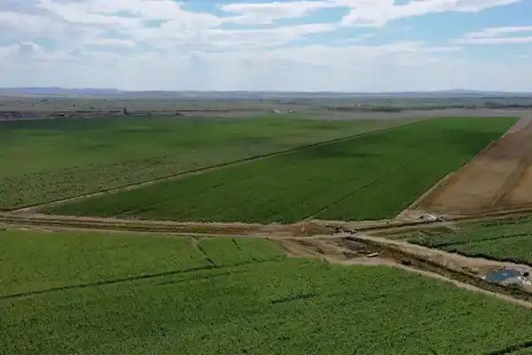 В области обсудили поддержку агропромышленного комплекса и стабилизацию цен на социально значимые продукты питания (9)