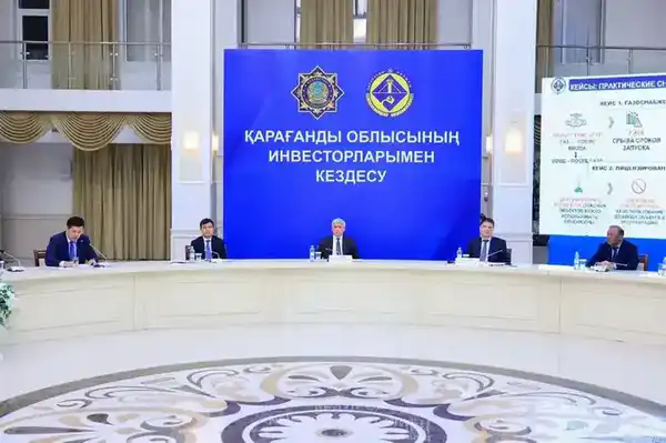 В Карагандинской области обсудили новые подходы к работе с инвесторами (10)