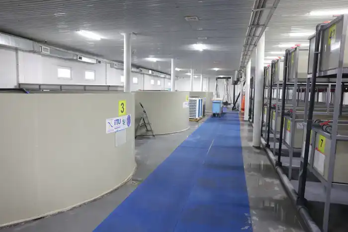 Мост между наукой и производством: Саясат Нурбек посетил рыбный завод Международного Таразского университета имени Шерхана Муртазы (7)