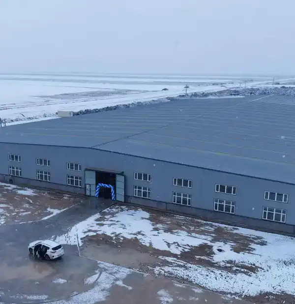 ПРЕЗИДЕНТ ПОЛОЖИТЕЛЬНО ОЦЕНИЛ ОПЫТ ТУРКЕСТАНСКОЙ ОБЛАСТИ ПО ИСПОЛЬЗОВАНИЮ ПОТЕНЦИАЛА СПЕЦИАЛЬНЫХ ЭКОНОМИЧЕСКИХ ЗОН (9)