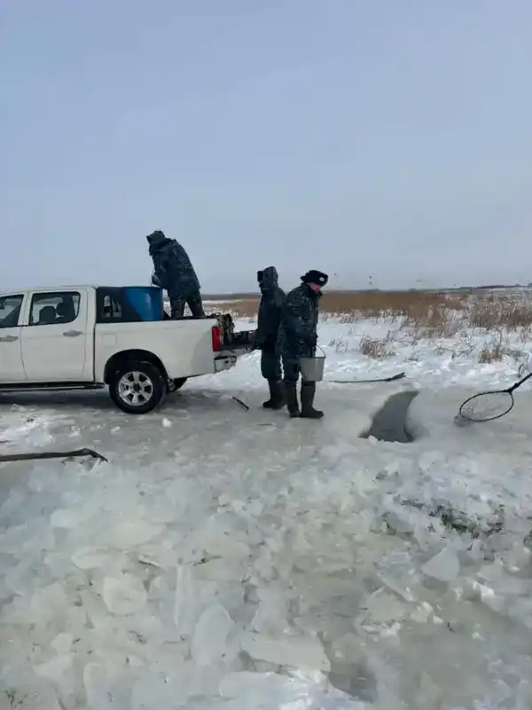 В Северо-Казахстанской области проводятся мероприятия по аэрации озёр с целью предотвращения замора рыбы (4)