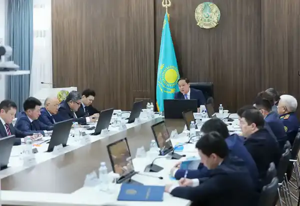 В Жамбылской области зимовка скота проходит в штатном режиме (9)