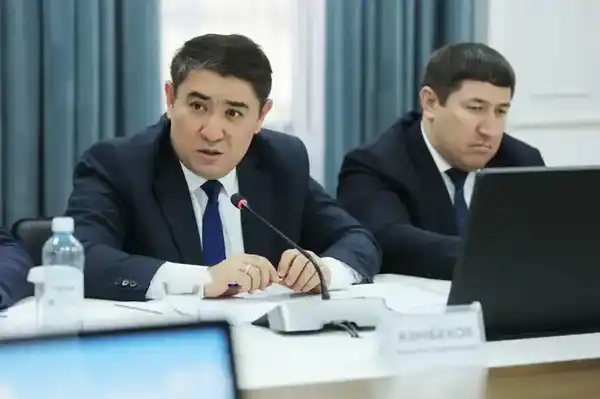 В Жамбылской области зимовка скота проходит в штатном режиме (5)