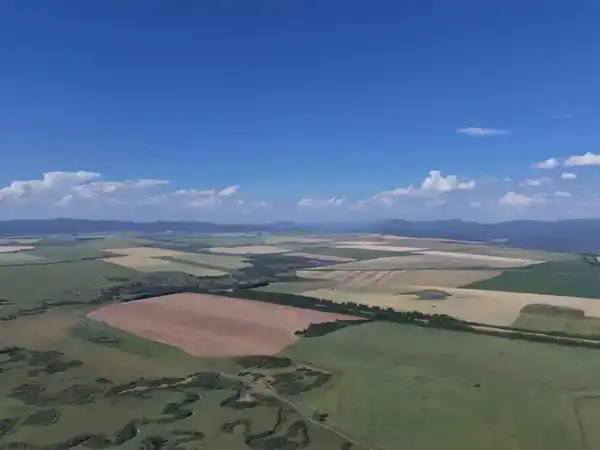 Агроинвестиции в ВКО: продовольственная безопасность, потенциал АПК, благосостояние сёл (3)