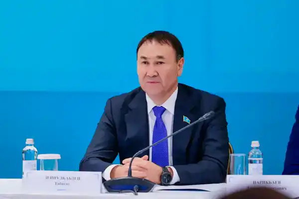 В Астане прошла экспертная встреча по обсуждению проекта новой Конституции (5)