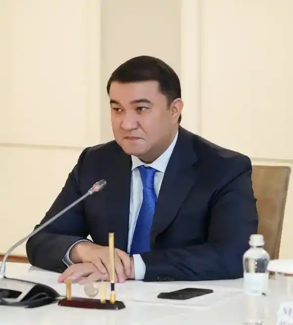 В ТУРКЕСТАНСКОЙ ОБЛАСТИ УСИЛЯТ ПОДДЕРЖКУ ОТЕЧЕСТВЕННОГО БИЗНЕСА (2)