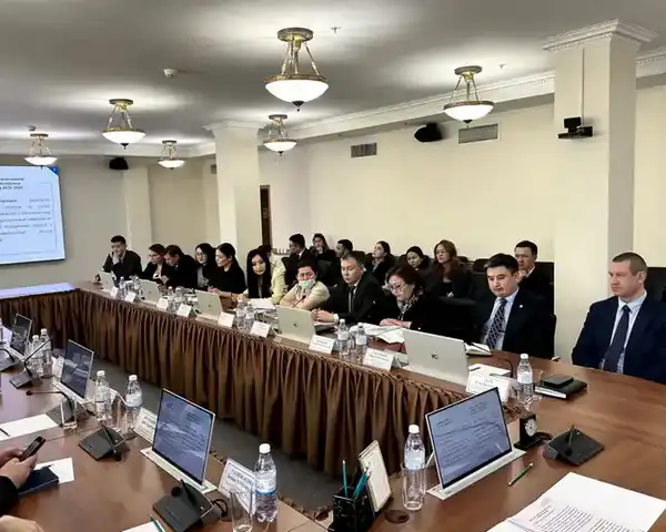 В Минтруда обсудили реализацию Концепции инклюзивной политики с экспертами проекта Сената «Талдау мектебі – Школа аналитики» (4)