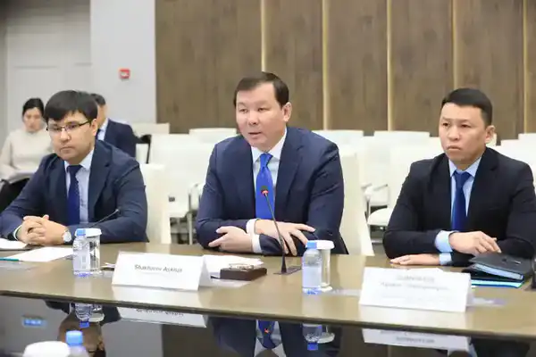 Глава региона Асхат Шахаров принял делегацию Европейского Союза (2)