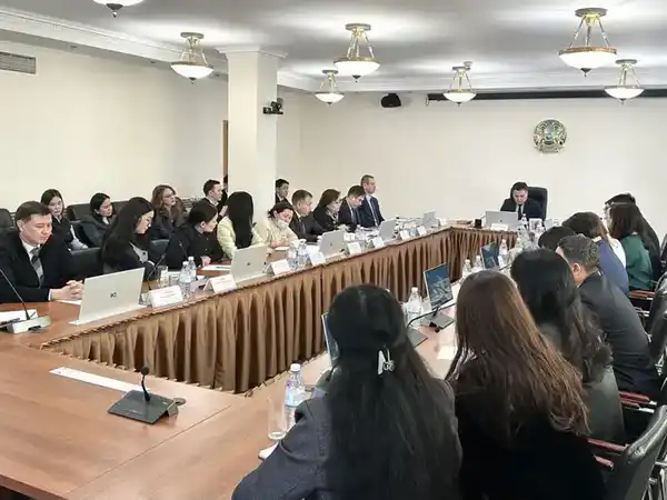 В Минтруда обсудили реализацию Концепции инклюзивной политики с экспертами проекта Сената «Талдау мектебі – Школа аналитики» (6)