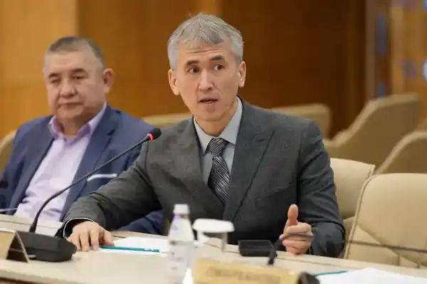 В ЦИК РК представлены меры по доступности избирательных участков для лиц с инвалидностью и ряд пилотных проектов (3)