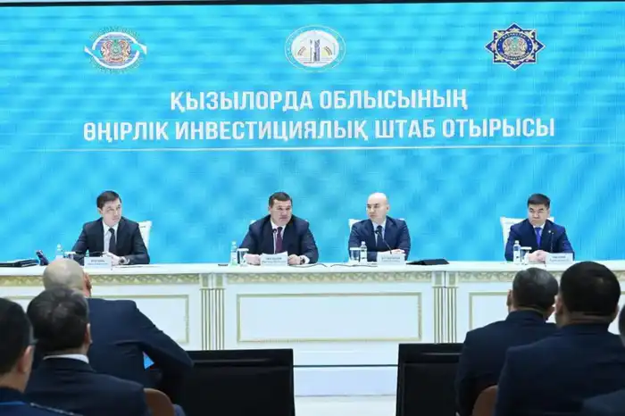 В Кызылординской области обсуждено взаимодействие госорганов по вопросу привлечения инвестиций в экономику региона (9)