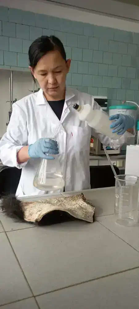 Ученые разрабатывают инновационную технологию сохранения шкур КРС (8)