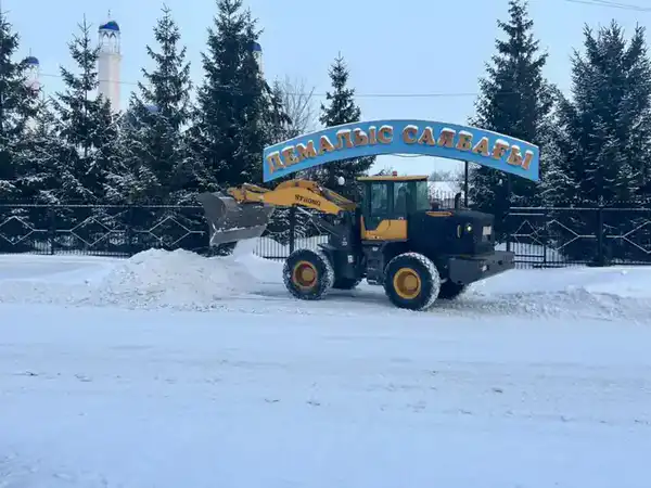 В области Абай на постоянной основе проводятся работы по уборке и вывозу снега (5)