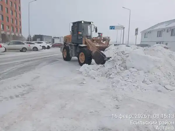 Около 1 700 единиц спецтехники задействовано в снегоуборочных работах в Астане (4)
