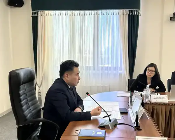 В Минтруда обсудили реализацию Концепции инклюзивной политики с экспертами проекта Сената «Талдау мектебі – Школа аналитики» (3)