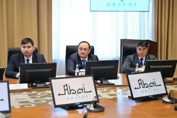 В Семее обсудили проект строительства новой гостиницы (4)