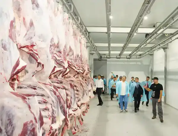 ТУРКЕСТАНСКАЯ ОБЛАСТЬ ЭКСПОРТИРОВАЛА ЗА РУБЕЖ БОЛЕЕ 60 ТЫСЯЧ ТОНН МЯСА, СТАВ ЛИДЕРОМ В РЕСПУБЛИКЕ (3)