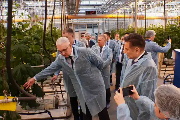 Делегация ВКО ознакомилась с работой крупнейшей теплицы в Барнауле (5)