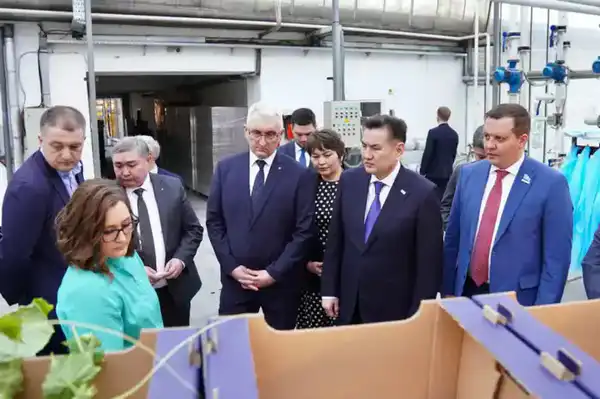 Делегация ВКО ознакомилась с работой крупнейшей теплицы в Барнауле (2)