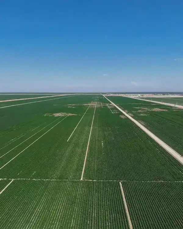 В ТУРКЕСТАНСКОЙ ОБЛАСТИ РАЗРАБОТАЮТ ПЛАН МЕРОПРИЯТИЙ ПО ИСПОЛНЕНИЮ ПОРУЧЕНИЙ ПРЕЗИДЕНТА (5)