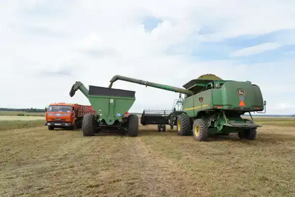 Сельское хозяйство: рекордные урожаи и рост животноводства (2)