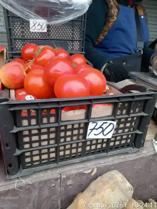 На ярмарке в Актау из стабилизационного фонда было реализовано 2 тонны картофеля (4)